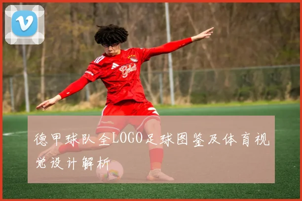 德甲球队全LOGO足球图鉴及体育视觉设计解析